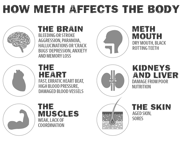 methonbody1
