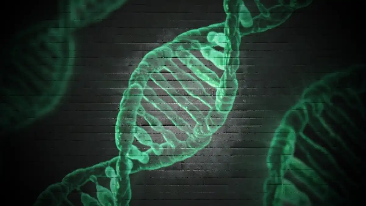 Neurogene Halts Rett Syndrome Gene Therapy Trial Enrollment