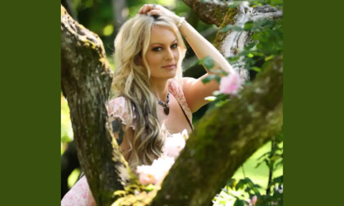 TurnOnVideo Launches Softcore Streaming, Features Stormy Daniels