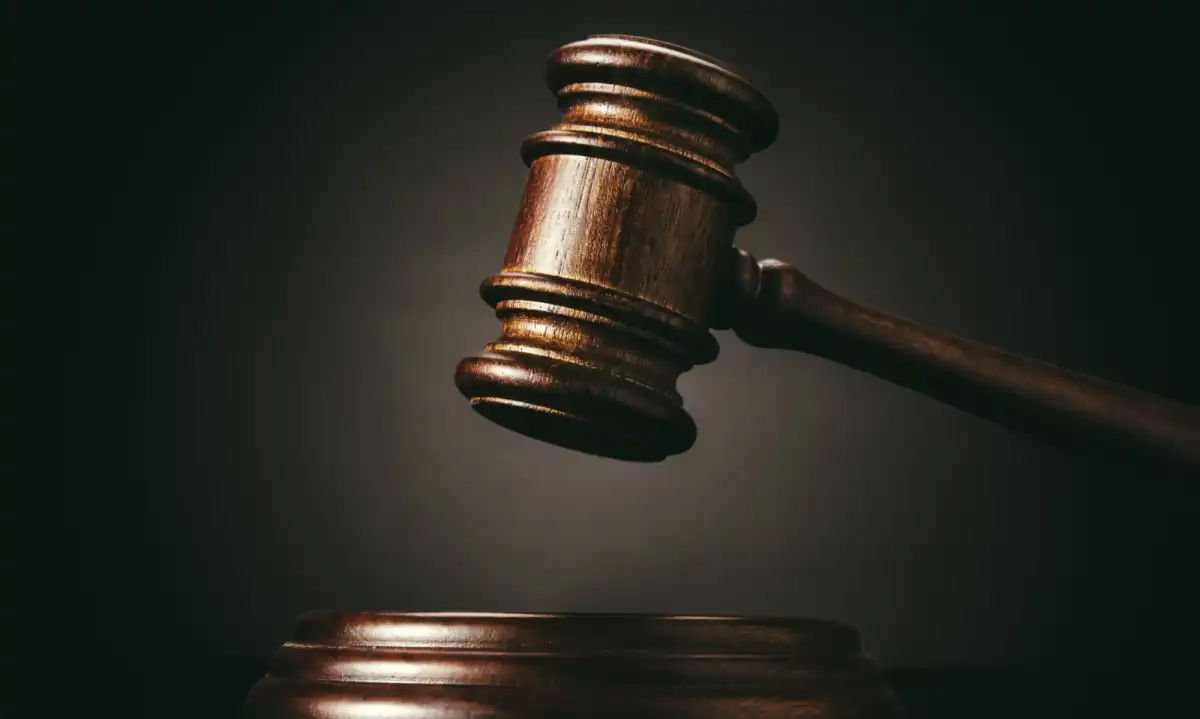 Phoenix Marie Sues Aylo, Danny D for Defamation, Career Damage