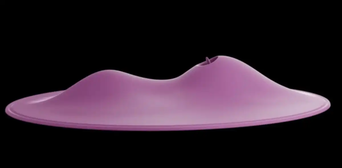 Orion Wholesale Unveils Vibepad Intense 2 & Vibepad 2 Vibrators