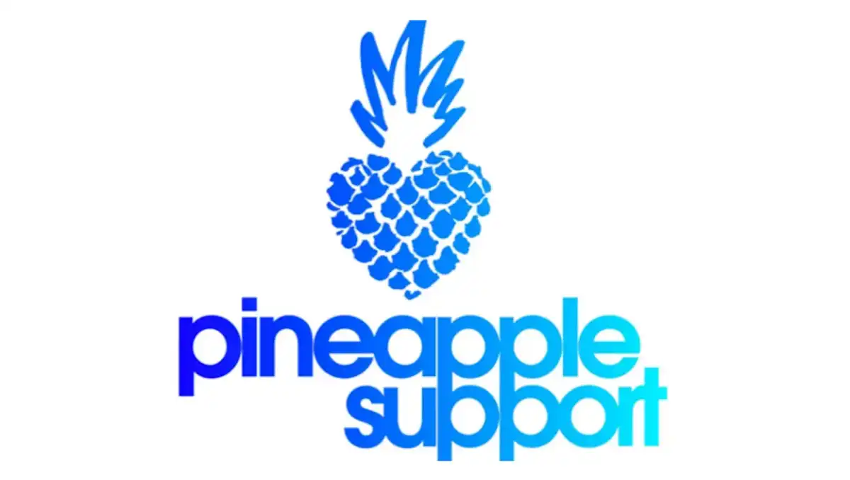 Pineapple Support Offers Free Online Suicide Bereavement Group