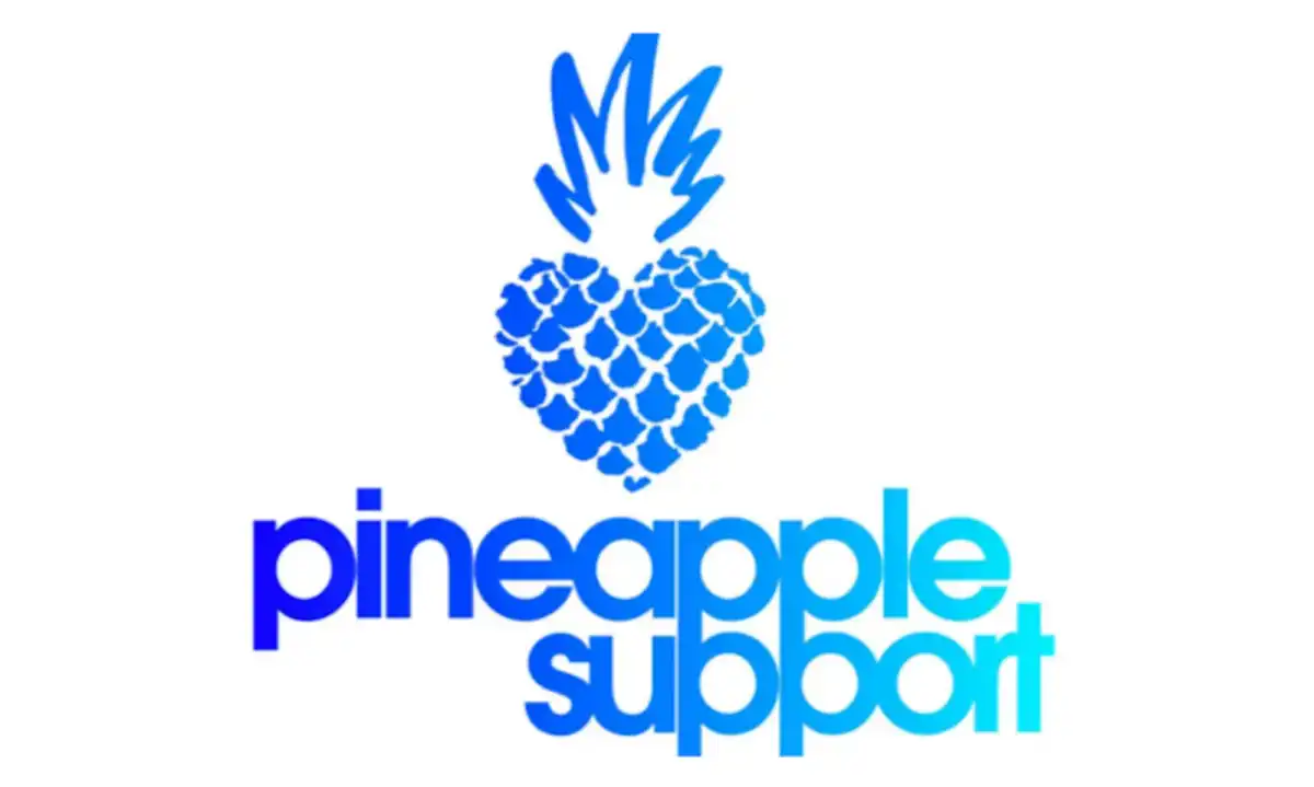 Pineapple Support & Wellbeing by PS Attend TES Affiliate Conference